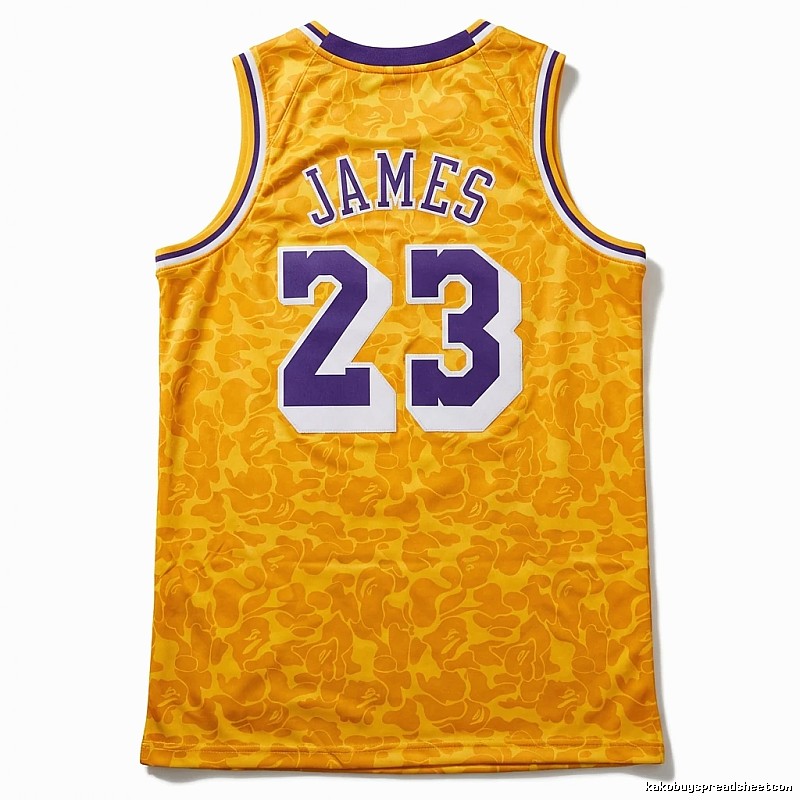 LBJ No. 23 camouflage-style jersey