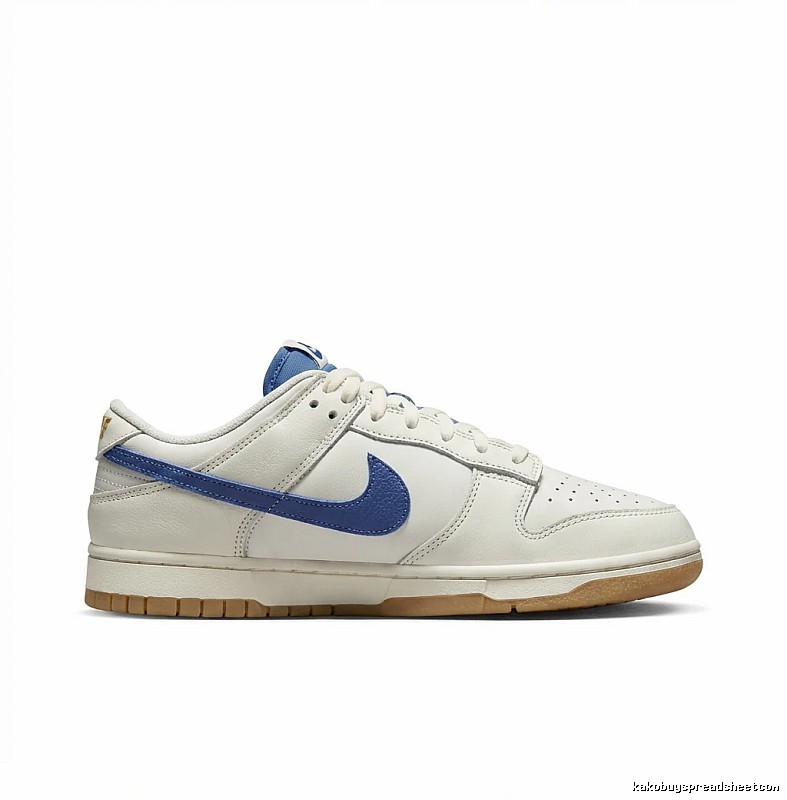 Nike Dunk Retro Style White and Blue Shoes