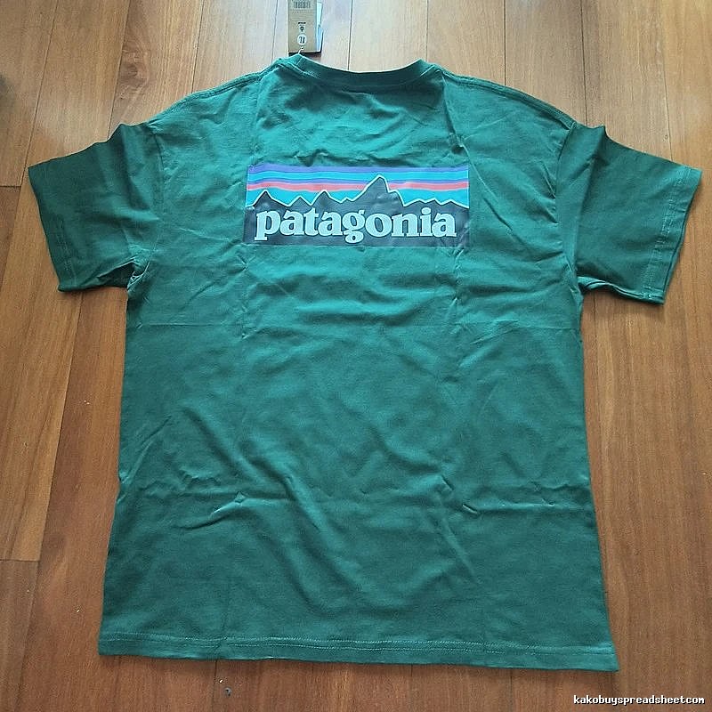 Patagonia Green Logo T-Shirt Clean Colorway Graphic