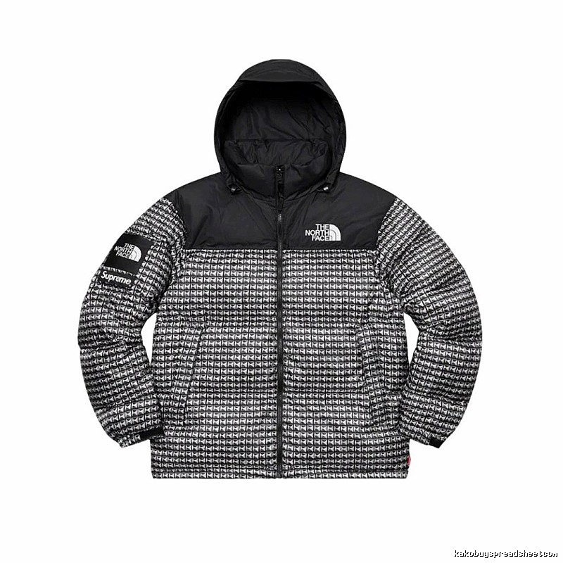 Pattern Logo The North Face Puffer Jacket for Photo Ready Looks